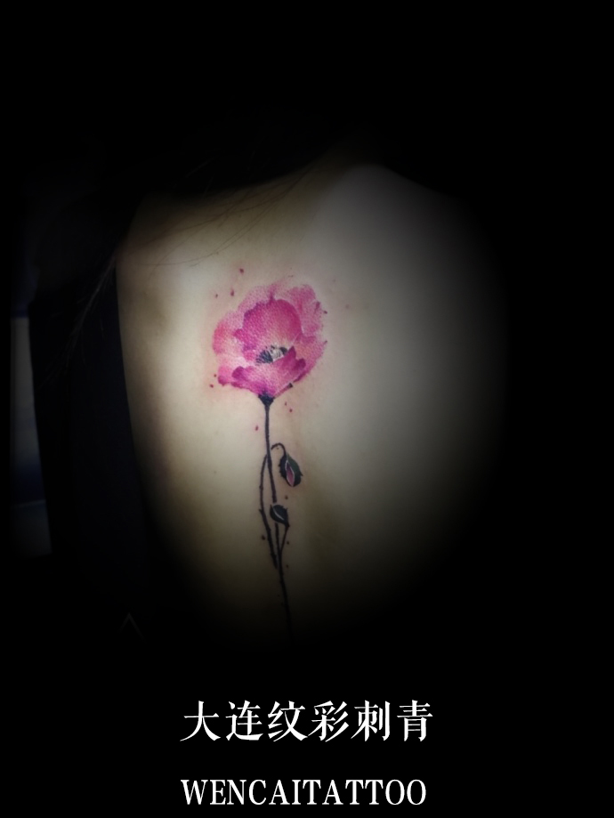 美丽的陈小姐后背彩色罂粟花纹身
