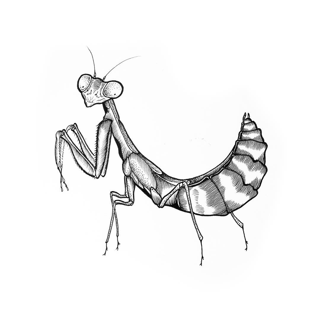ҵʵָ