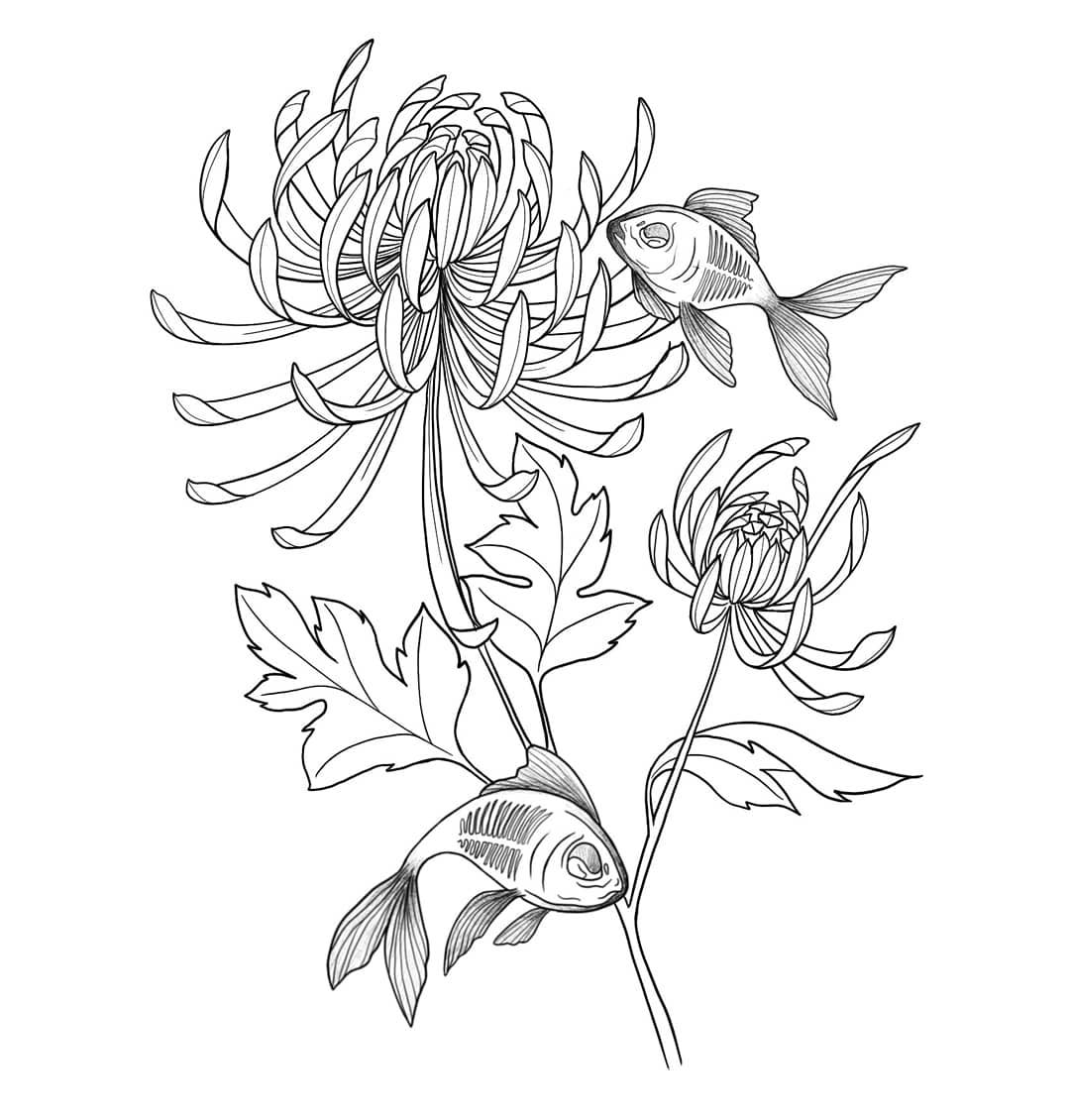 菊花小鱼纹身手稿