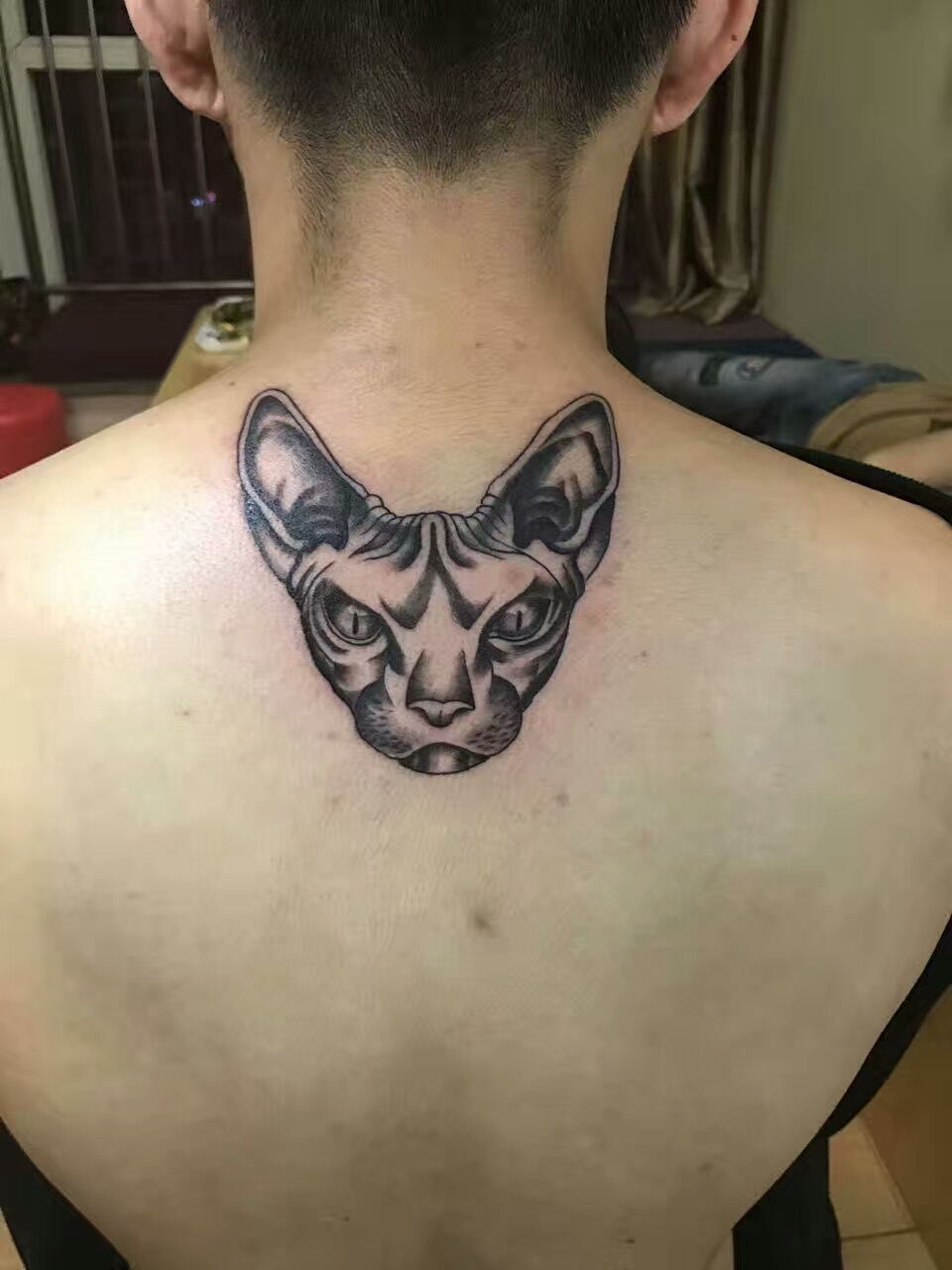 后颈斯芬克斯猫纹身图案